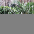 Aspersor Irrigação Giratório 360º Automático De Jardim -