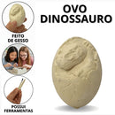 Dinossauro Dino Fóssil Escavação Ovo Brinquedo Aventura -