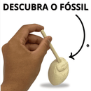Dinossauro Dino Fóssil Escavação Ovo Brinquedo Aventura -